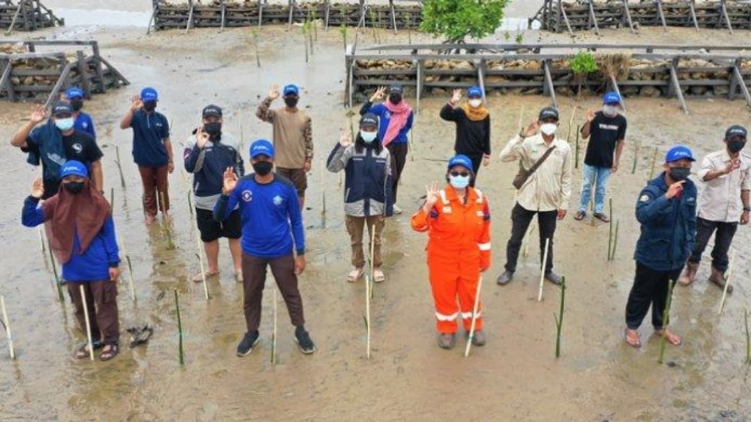 Kembangkan Ekowisata Lokal, Pertamina Hulu Kalimantan Timur Tanam 10.000 Mangrove di Pantai Kersik